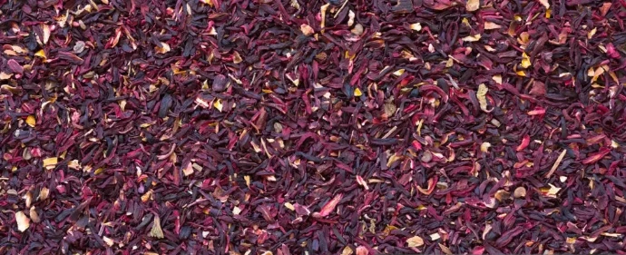 Hibiscus