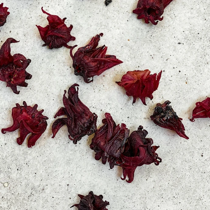 Hibiscus